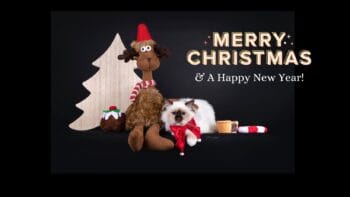 Poezels fijne feestdagen