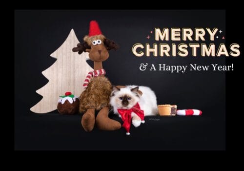 Poezels fijne feestdagen