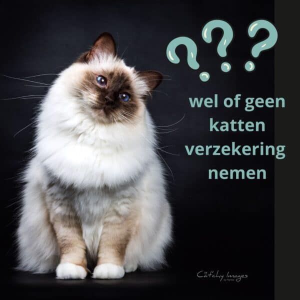 wel of geen verzekering nemen