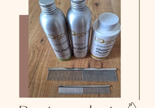 Mijn favoerite producten