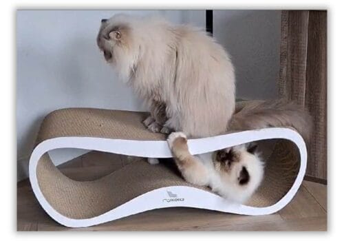 Semmy en Checo kartonnen krabmeubel