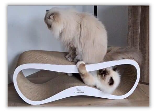 Semmy en Checo kartonnen krabmeubel