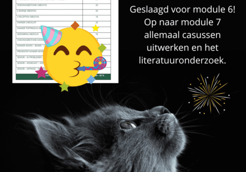 Geslaagd voor module 6