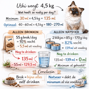 Ushi schema drinken